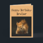 Tarjeta ¡Feliz cumpleaños hermano Funny Go Nueces!<br><div class="desc">¡Graciosa tarjeta de cumpleaños para tu hermano Go Nuts!</div>