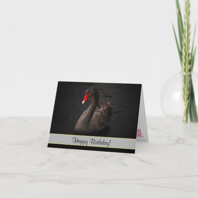 Tarjeta Feliz cumpleaños, hermoso cisne negro (Anverso)