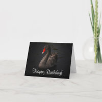 Feliz Cumpleaños Hermoso Cisne Negro