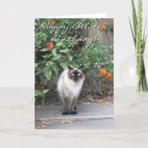 Tarjeta Feliz cumpleaños, Himalayan Mix cat