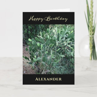 Tarjeta Feliz cumpleaños, hombres, papá, la naturaleza per