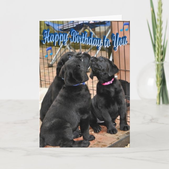 Tarjeta Feliz cumpleaños, honor y trigo de camada (Anverso)