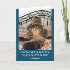 Tarjeta Feliz cumpleaños, hora de baño, Kimber Cat