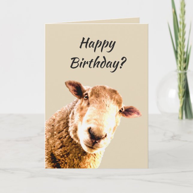 Tarjeta Feliz cumpleaños Humor animal de oveja divertida (Anverso)