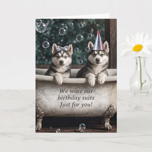 Tarjeta Feliz cumpleaños, humorísticos Huskies en una bañe (Planta pequeña)