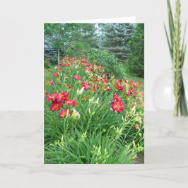 Tarjeta Feliz cumpleaños - jardín rojo II del lirio
