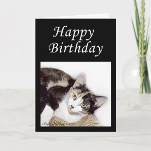 Tarjeta Feliz cumpleaños Kitty