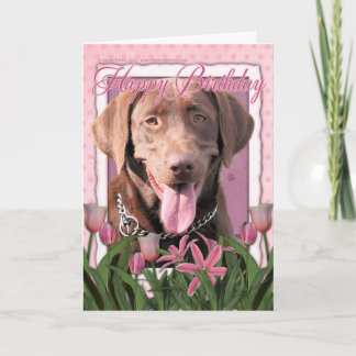 Tarjeta Feliz cumpleaños - Labrador - chocolate
