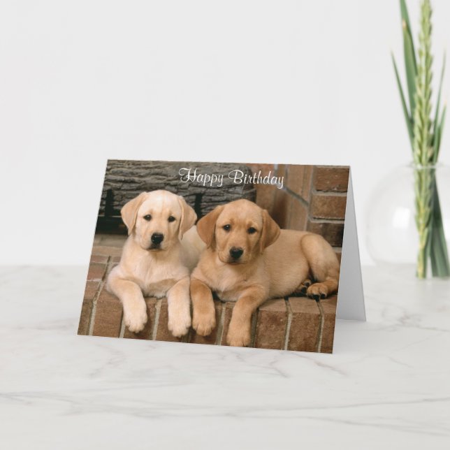 Tarjeta Feliz cumpleaños Labrador Recuperador de Puppies T (Anverso)
