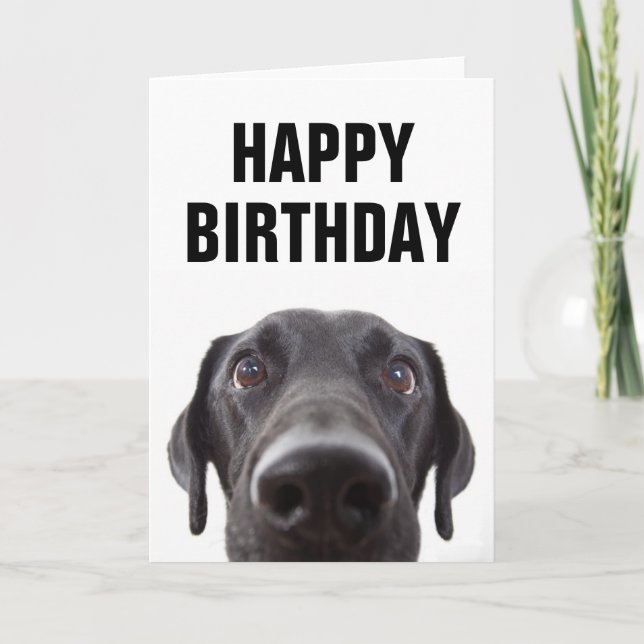 Tarjeta Feliz Cumpleaños | Labrador Retriever Negro (Anverso)