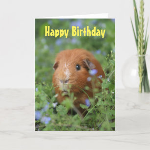 Tarjeta Feliz cumpleaños lindo conejillo de Indias jengibr