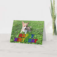 Feliz cumpleaños lindo Corgi foto de cachorro arco
