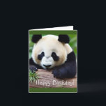 Tarjeta Feliz cumpleaños, lindo oso panda<br><div class="desc">Esta tarjeta de cumpleaños incluye un lindo oso panda con texto que se puede cambiar para adaptarlo a sus necesidades.</div>
