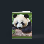 Tarjeta Feliz cumpleaños, lindo oso panda<br><div class="desc">Esta tarjeta de cumpleaños incluye un lindo oso panda con texto que se puede cambiar para adaptarlo a sus necesidades.</div>