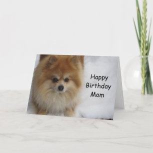 TARJETA FELIZ CUMPLEAÑOS ***MADA***