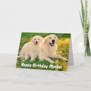 Tarjeta Feliz cumpleaños, madre cute perros recuperadores 