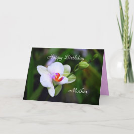 Tarjeta Feliz cumpleaños madre Falenopsis Orquídea