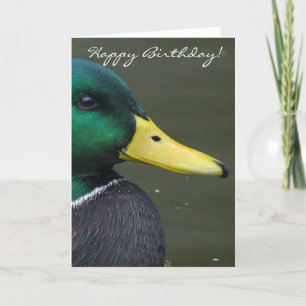 Tarjeta Feliz cumpleaños Mallard Duck