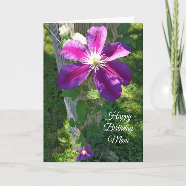 Tarjeta Feliz cumpleaños mamá Bonito Purple Flower Clemati (Anverso)