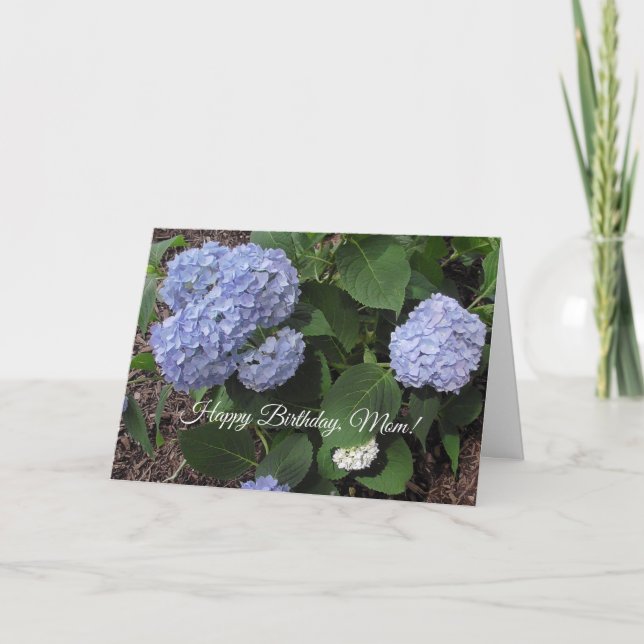 Tarjeta Feliz cumpleaños mamá, Bonito Purple Hibiscus (Anverso)