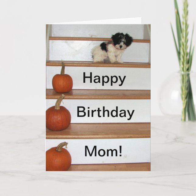 Tarjeta Feliz cumpleaños, mamá, cachorro y calabaza habané (Anverso)