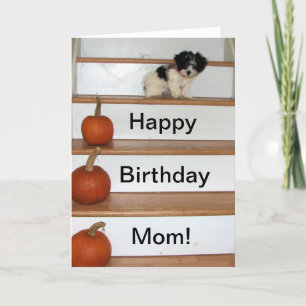 Tarjeta Feliz cumpleaños, mamá, cachorro y calabaza habané