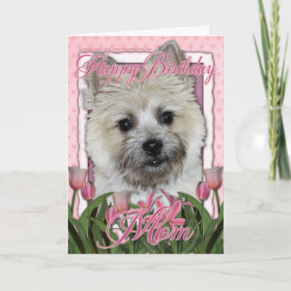 Tarjeta Feliz cumpleaños mamá - Cairn Terrier - Teddy Bear