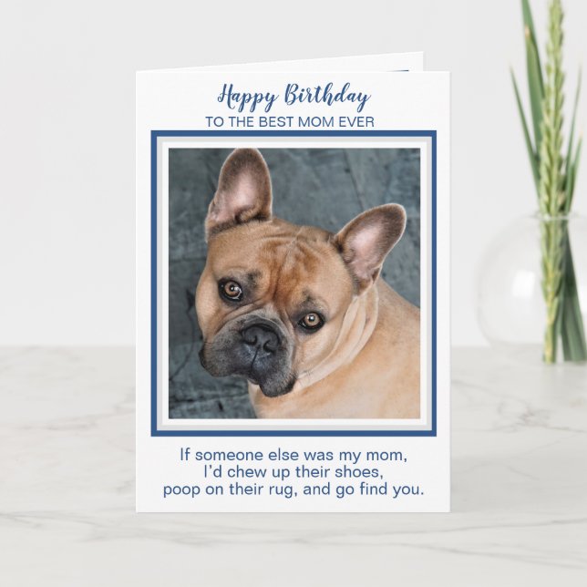 Tarjeta Feliz cumpleaños mamá Funny Perro Mundos Mejor Per (Anverso)