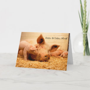 Tarjeta Feliz cumpleaños mamá Madre madre, cerdo y lechón
