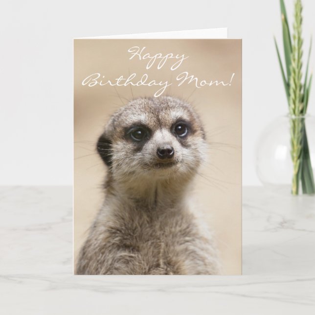 Tarjeta Feliz cumpleaños, mamá Meerkat Card (Anverso)