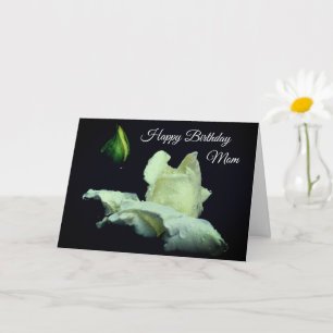 Tarjeta Feliz cumpleaños mamá White Rosebud Flor