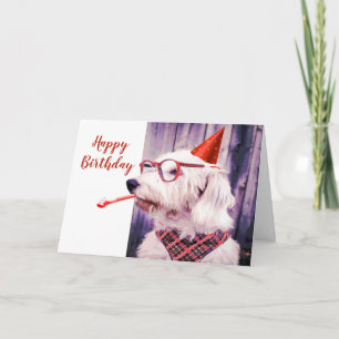 Tarjeta Feliz cumpleaños Mascota de perro divertido en bla
