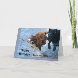 Tarjeta Feliz cumpleaños, mejor amigo, diversión, perros v
