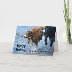 Tarjeta Feliz Cumpleaños Mejor Amigo Divertidos Perros Vie