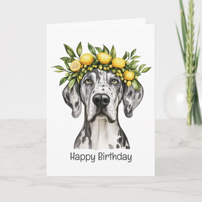 Tarjeta Feliz cumpleaños Merle Great Dane Dog Lemon Crown (Anverso)