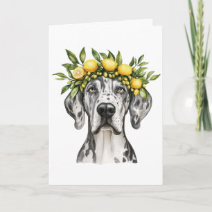 Tarjeta Feliz cumpleaños Merle Great Dane Dog Lemon Crown