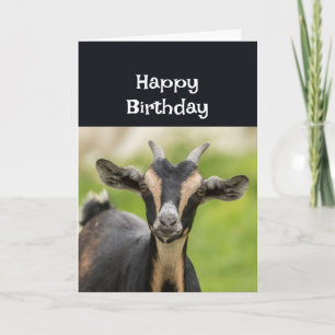 Tarjeta Feliz cumpleaños, mi FAVORITA DIVERSIÓN DE CABRA A