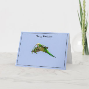 Tarjeta Feliz cumpleaños Monk Parakeet