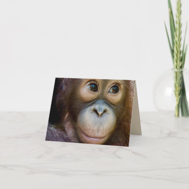 Tarjeta ¡Feliz cumpleaños, mono! (Anverso)