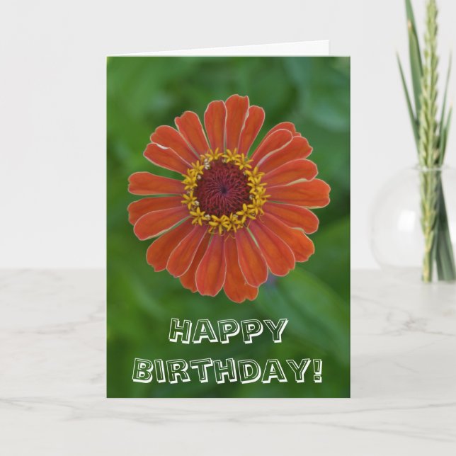 Tarjeta Feliz cumpleaños Naranja flor Zinnia (Anverso)