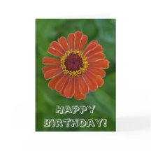 Feliz cumpleaños Naranja flor Zinnia