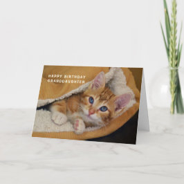 Tarjeta Feliz cumpleaños, Naranja Tabby Kitten en la cama