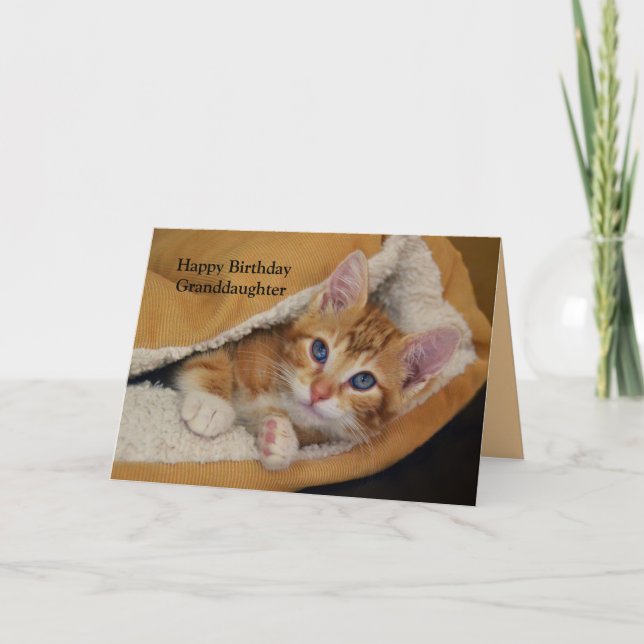 Tarjeta Feliz cumpleaños, Naranja Tabby Kitten en la cama (Anverso)
