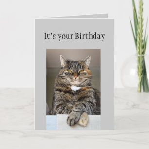 Tarjeta Feliz cumpleaños, no te mires gato divertido