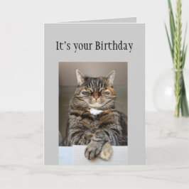 Tarjeta Feliz cumpleaños, no te mires Gato Divertido de Ed