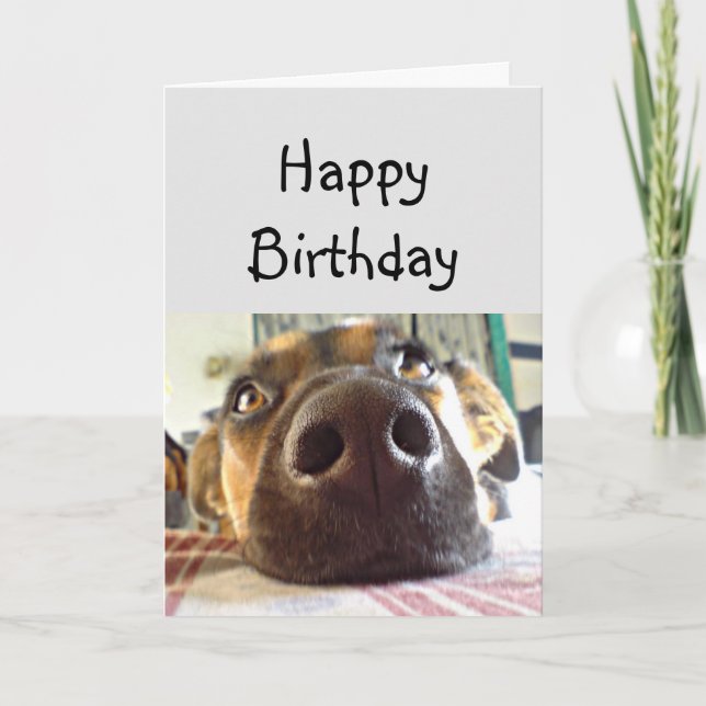 Tarjeta Feliz cumpleaños NOSE Cute Dog (Anverso)