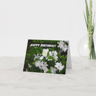 Tarjeta Feliz cumpleaños NoteCard que ofrece las