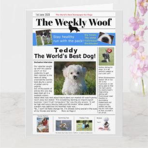 Tarjeta Feliz Cumpleaños Noticias Perro de Novedad
