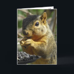 Tarjeta Feliz cumpleaños Nutty Friend Funny Squirrel<br><div class="desc">Feliz cumpleaños,  amistad,  ardilla humorística comiendo tarjeta de cumpleaños. El texto dentro puede ser editado para decir lo que quieras. ¡Esta es una gran carta para alguien que ama a las ardillas!</div>