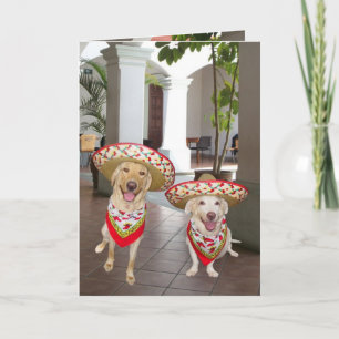 Tarjeta ¡Feliz cumpleaños! ¡o cumpleaños de Feliz del ¡!